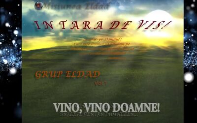Grup Eldad „Vino, vino Doamne !” | Misiunea Eldad