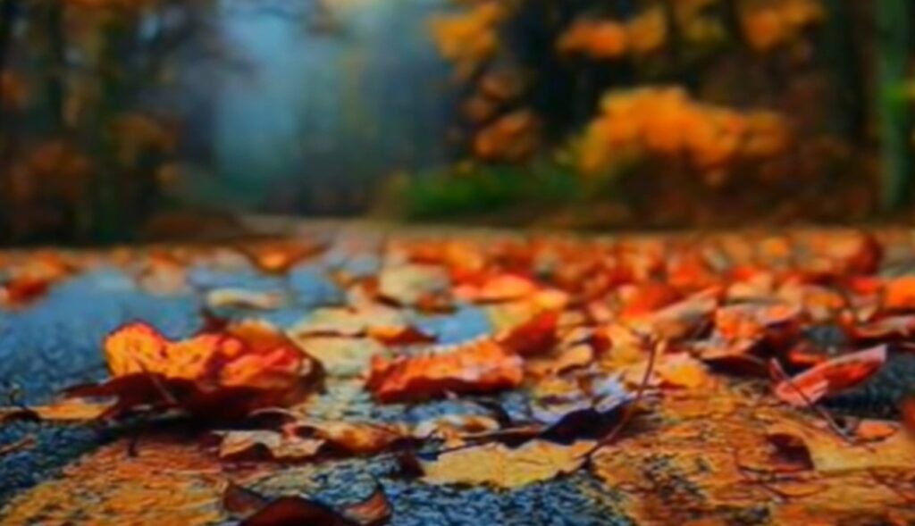 Grupul Eldad-Se duce timpul de chemare